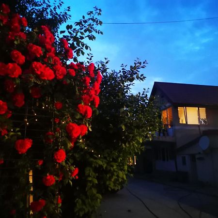 Cristalex Villaverde Bucharest Pantelimon Εξωτερικό φωτογραφία